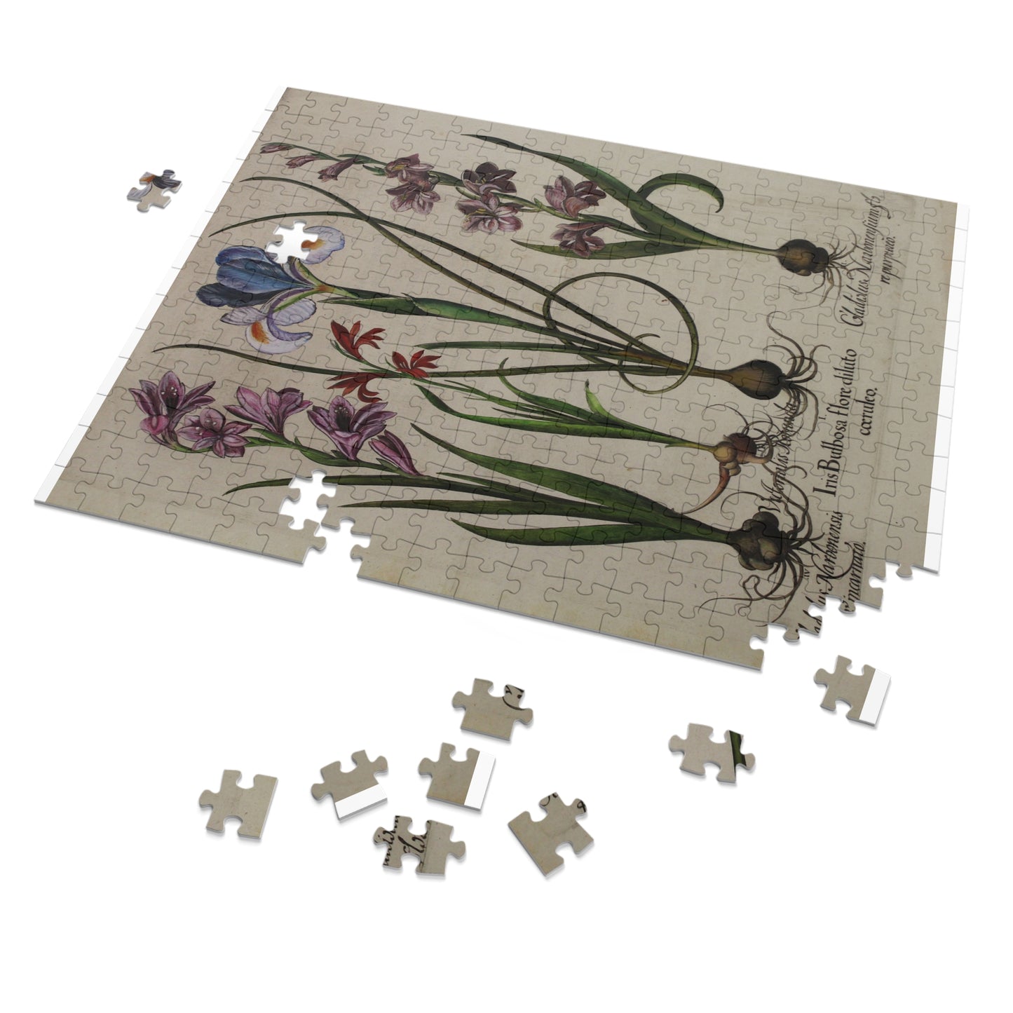Jigsaw Puzzle Iris by Besler  (252, 500, 1000-Piece)
