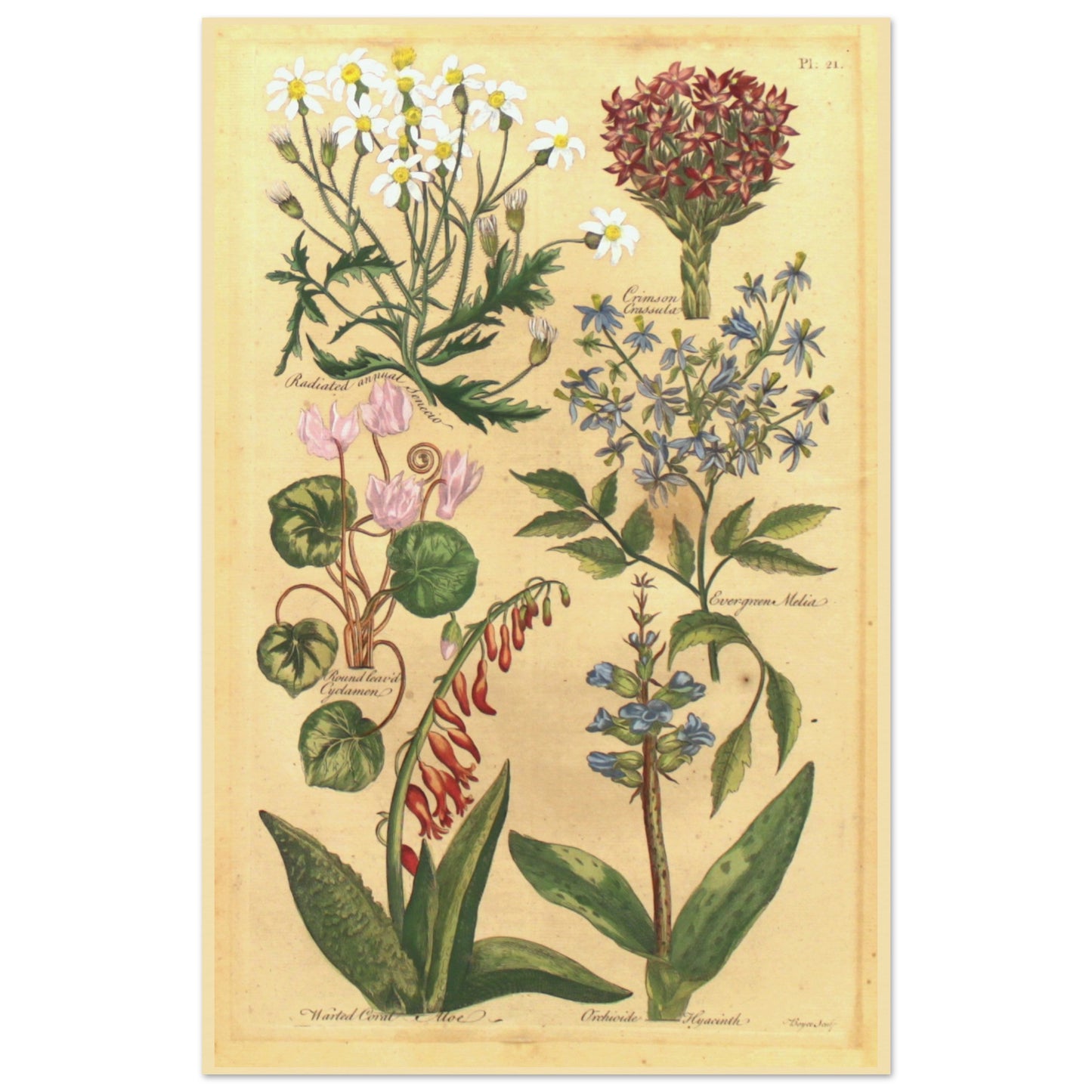 13759abb-2d71-4631-b63e-f9376ce10638