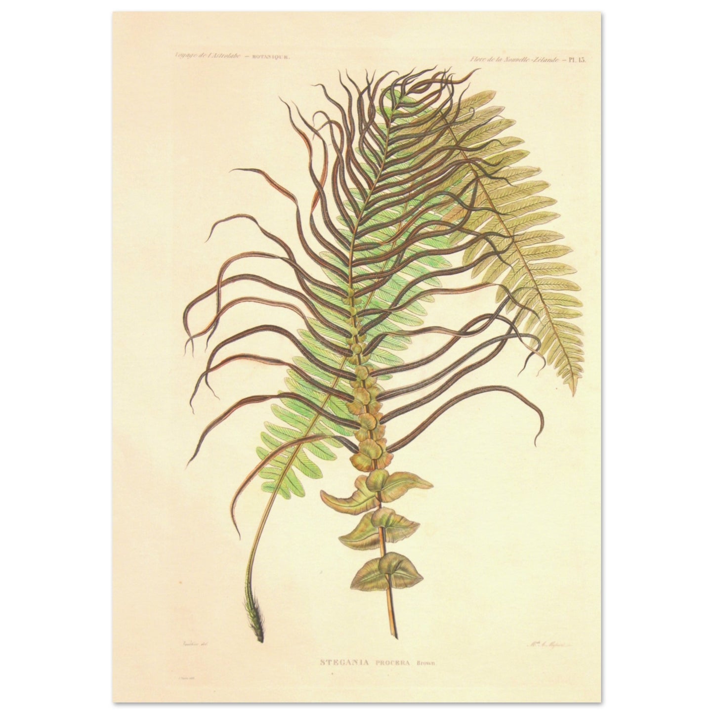 da376181-b57b-4344-b7d6-bb87c96a1d18