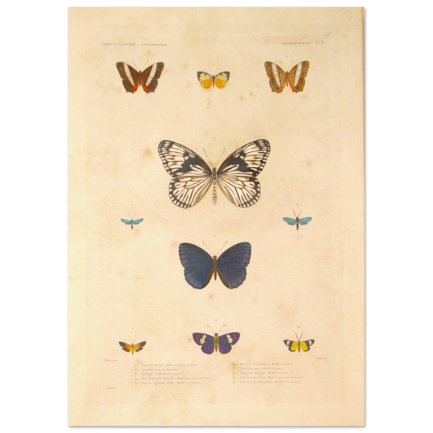 fa34c068-d064-4081-abb2-47f3f680f582