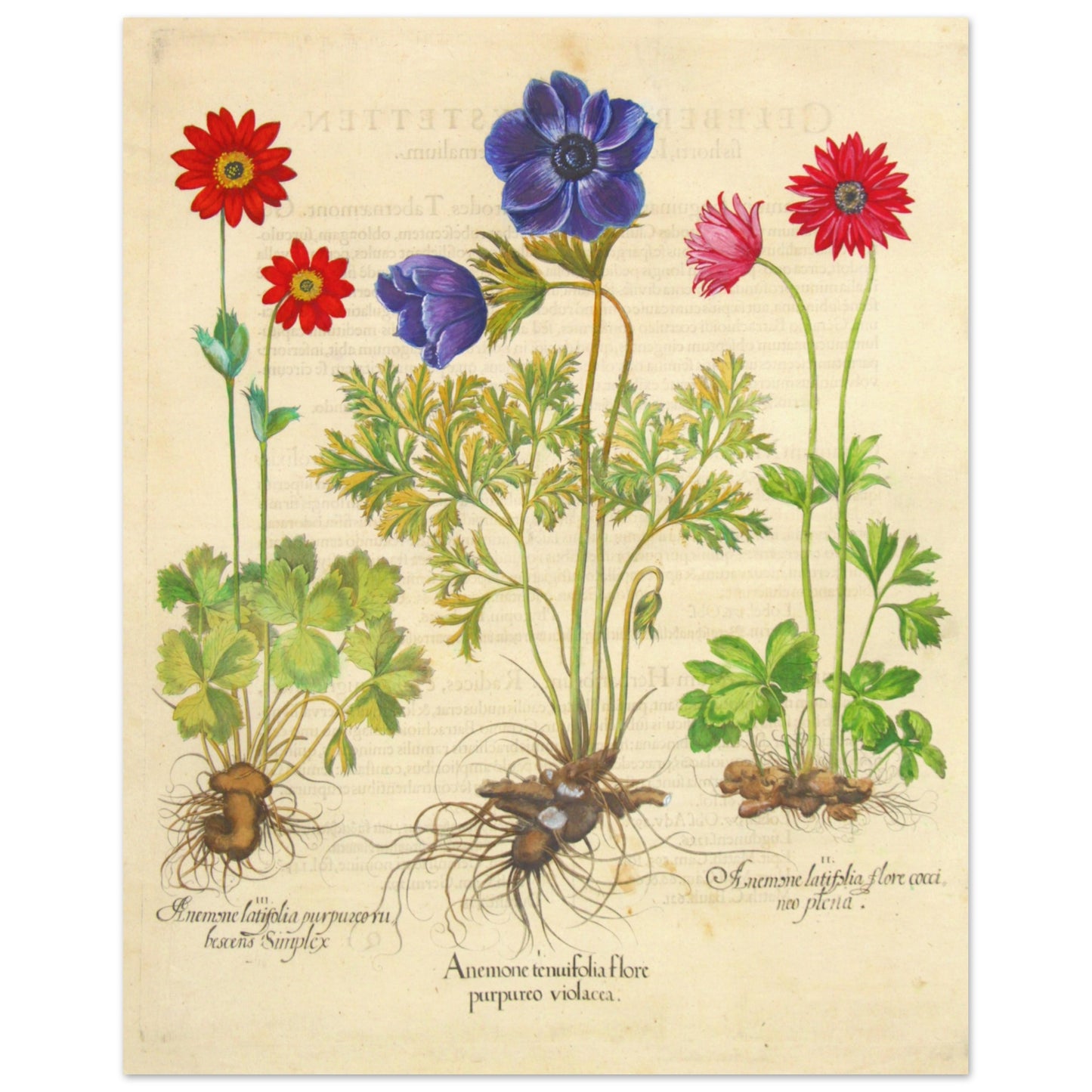 ff212006-77a9-4103-b406-7f4657a4a47e