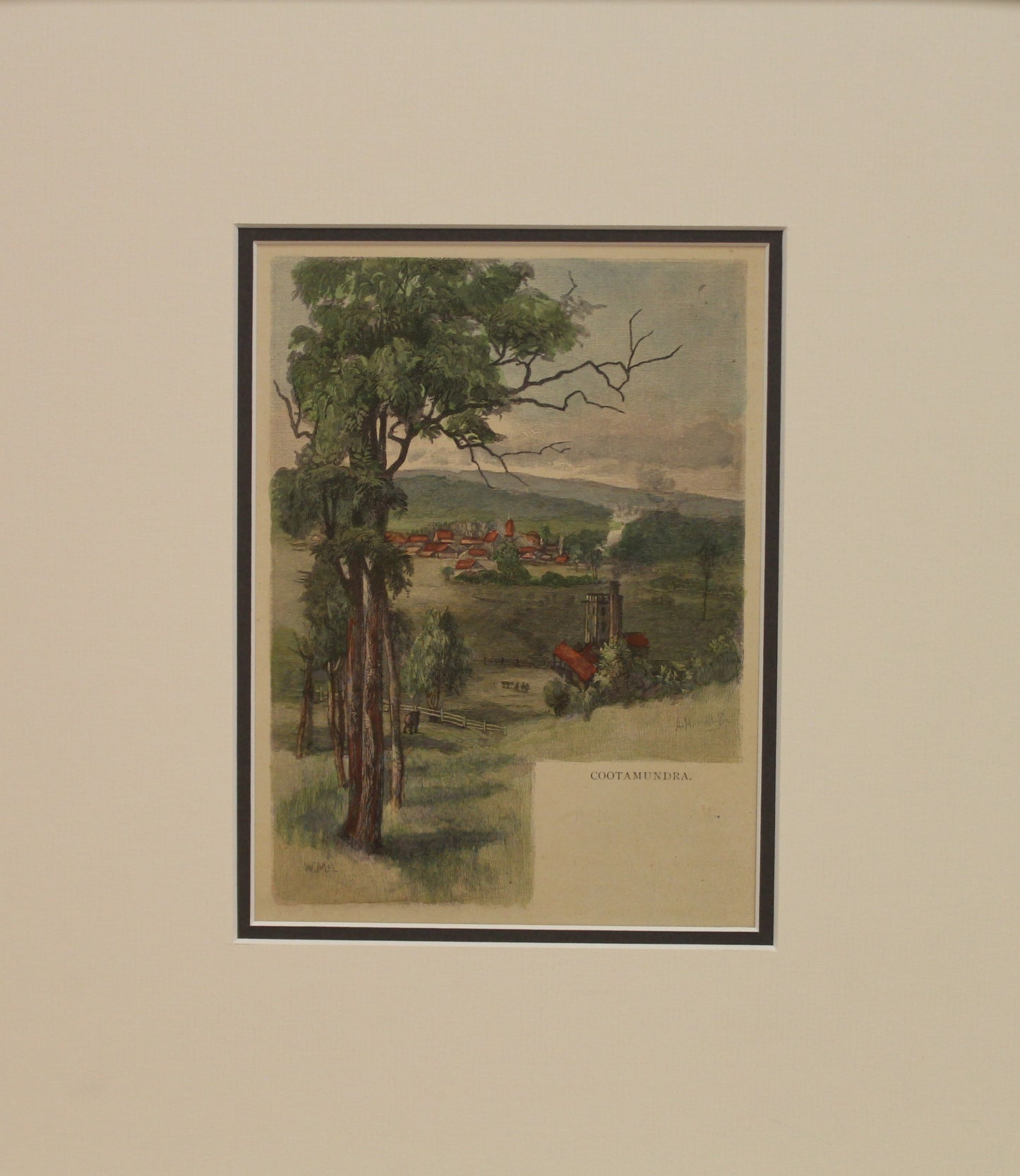 Australia, Cootamundra, South Central New South Wales, c1886