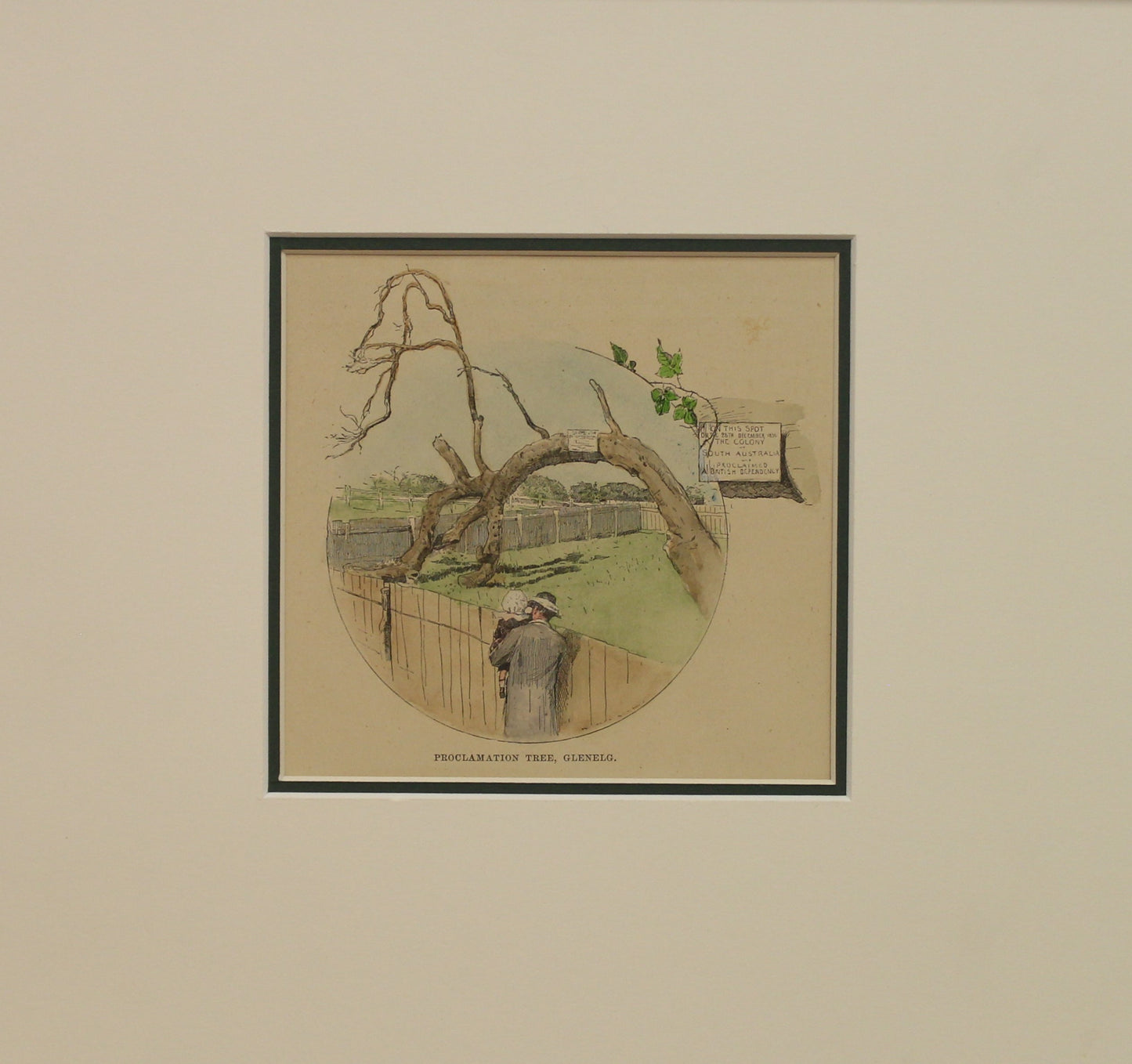 Australia, Proclamation Tree, Glenelg, South Australia c1886