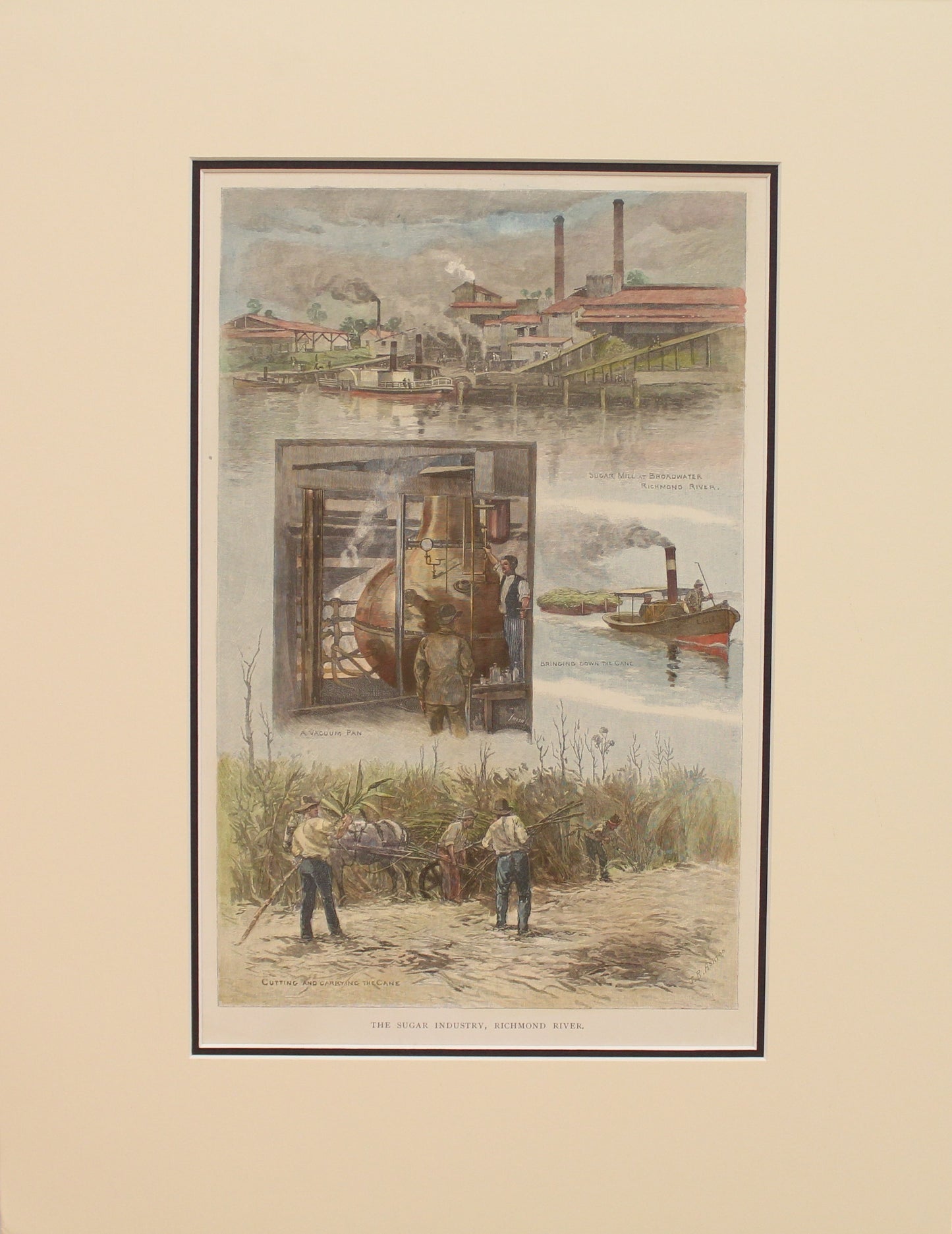 Australia, The Sugar Industry on the Richmond River, New South Wales, c1886