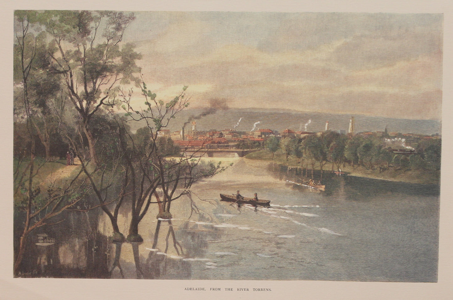 Australia, Adelaide from the River Torrens, Reproduction, c1886