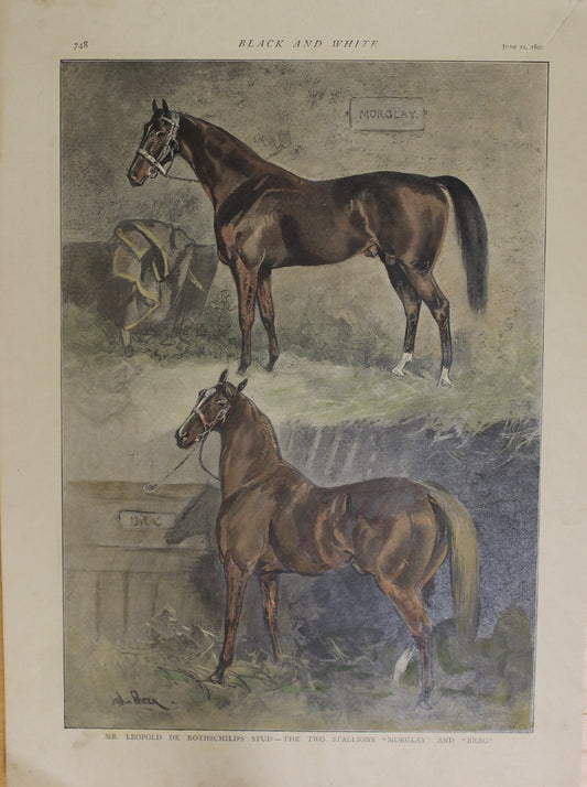 Sporting, Equestrian, Graphic Magazine 1892