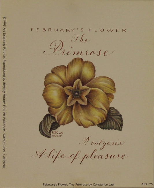 Botanical, February's Flower, Primrose, Lael, Constance, 1995 Reproduction