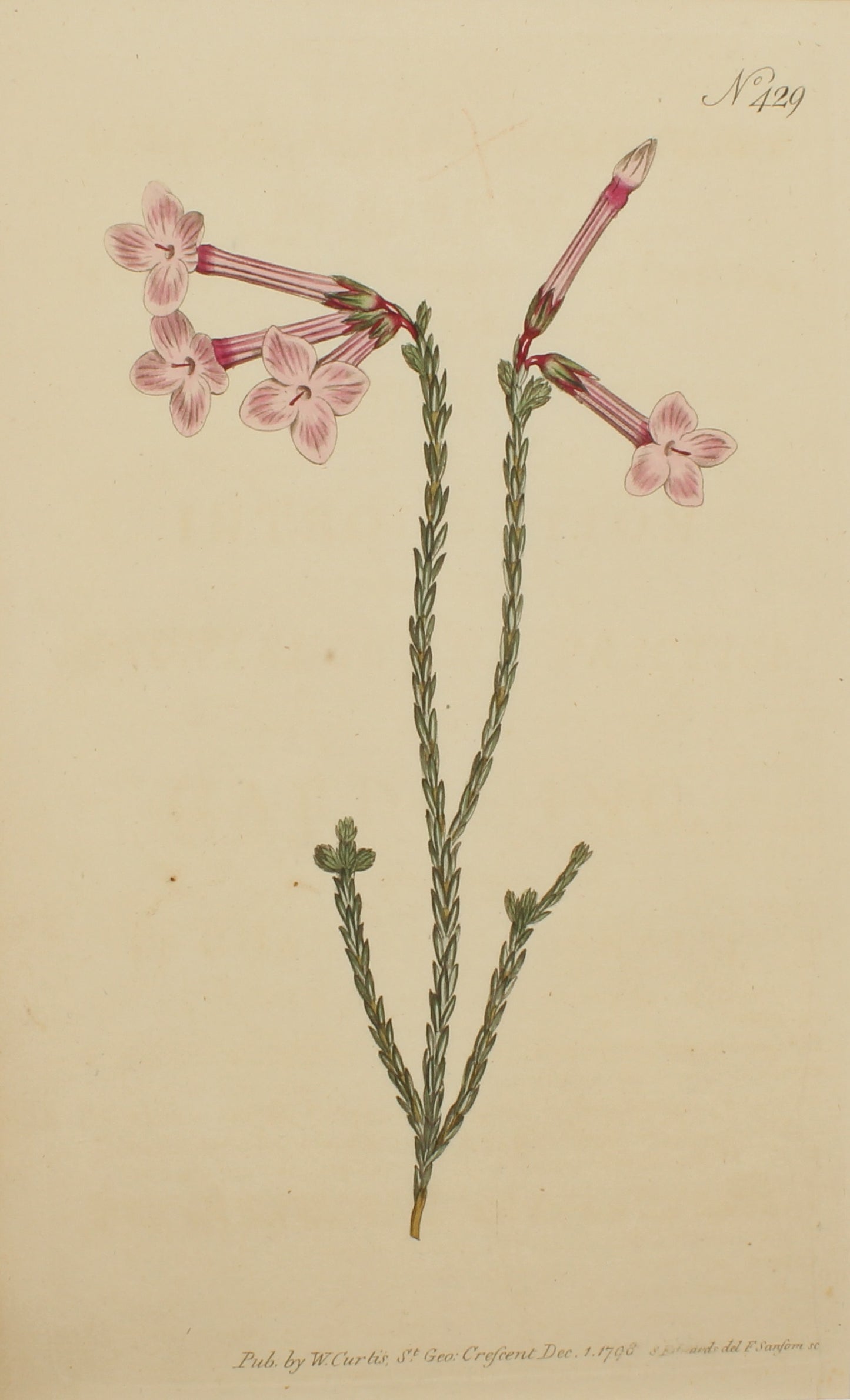 Botanical, Curtis William, Aiton's Heath, Botanical Magazine,1797