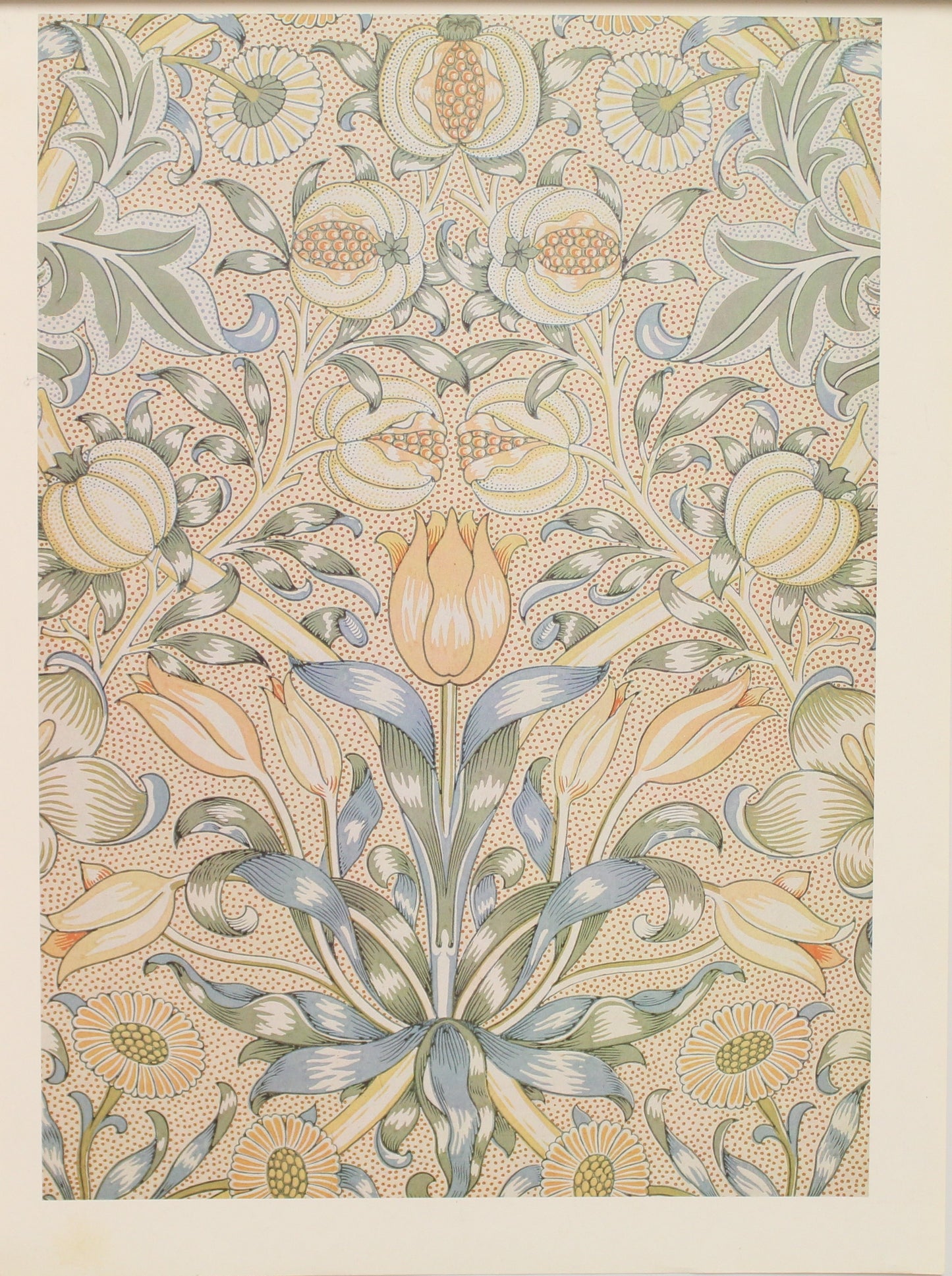 Decorator, Morris William, Wallpaper Design, Lily and Pomegranite, Plate 23, Art Nouveau, c1886