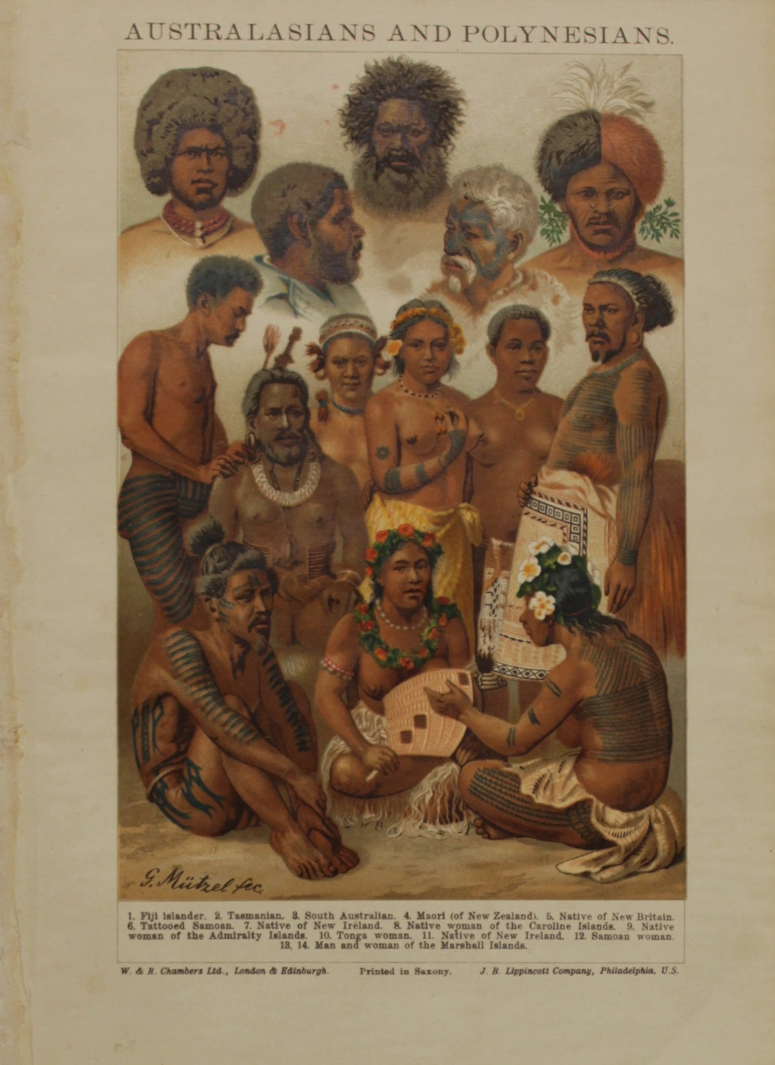 Ethnology, Anthropology & Ethnology, Chambers ltd, W & R, Australians and Polynesians, c1880