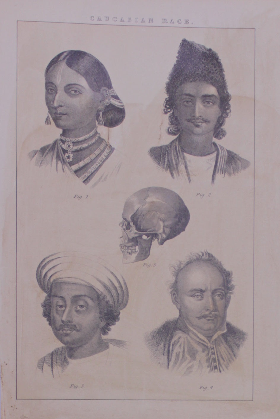 Ethnology, Anthropology & Ethnology, Blackie & Son, Caucasian Race, c1880