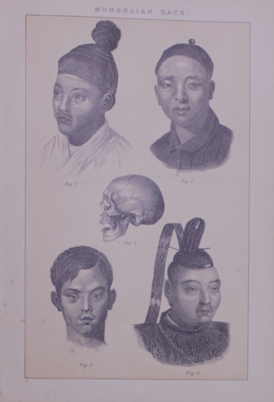 Ethnology, Anthropology & Ethnology, Blackie & Son, Mongolian Race, c1880