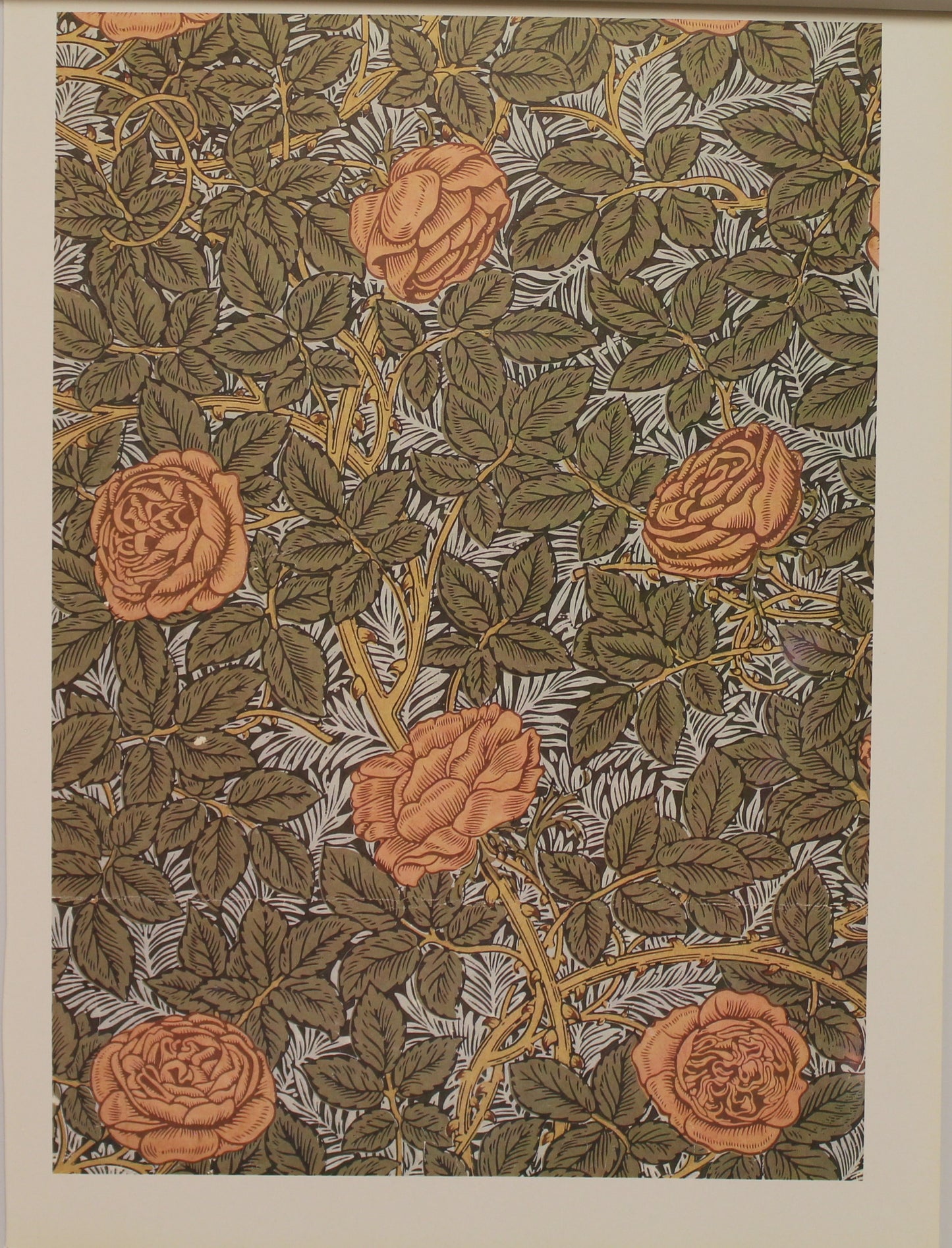 Decorator, Morris William, Fabric Design, Rose, Art Nouveau, Plate 14, c1877