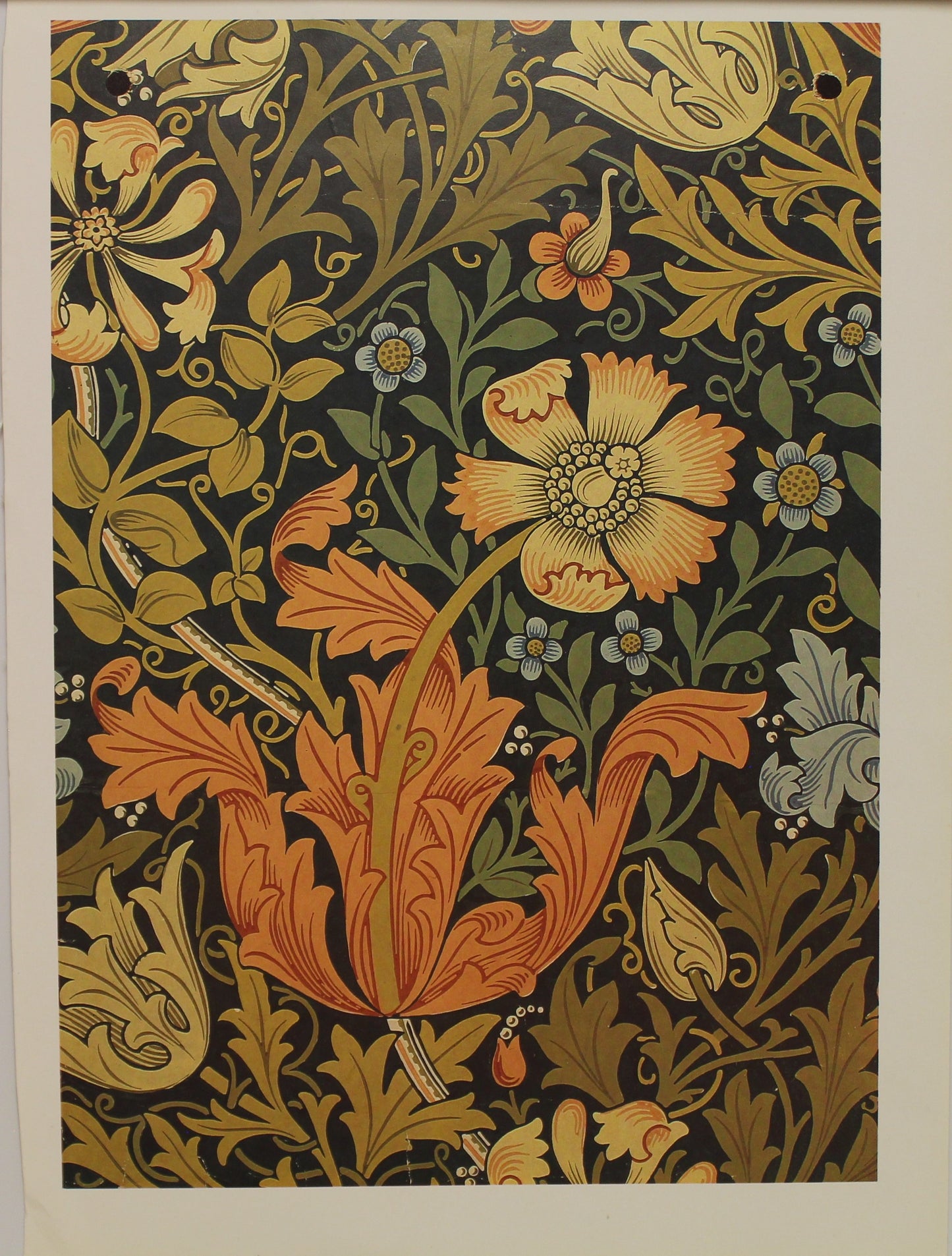 Decorator, Morris William, Wallpaper Design, Compton, Plate 40, Art Nouveau, c1896