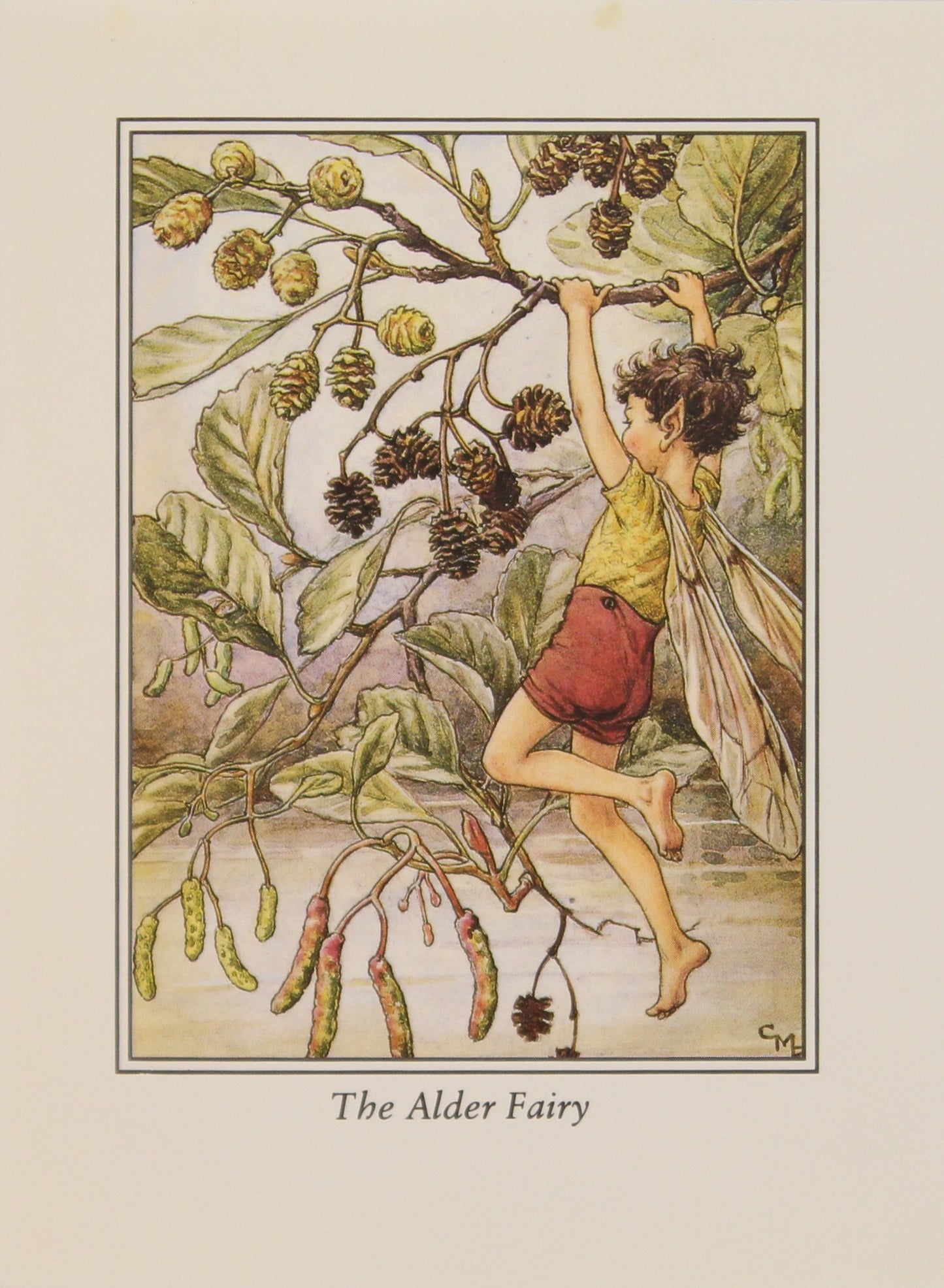 Storytime, Barker Cicely Mary, Flower Fairies of the Trees, c1940