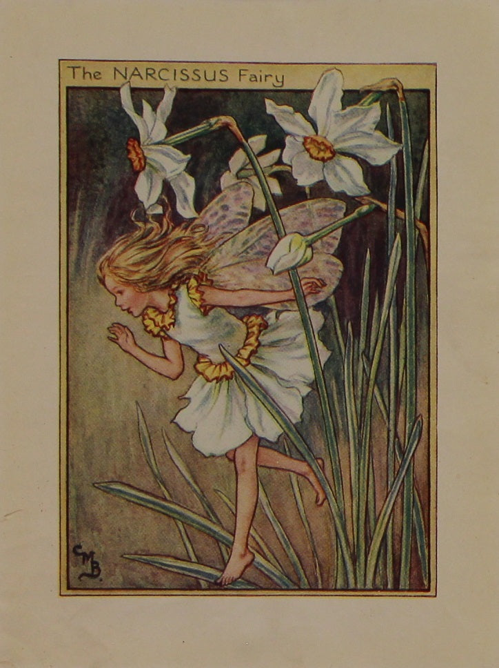 Storytime, The Narcissus Fairy, Barker Cicely Mary, Flower Fairies of the Garden, c1940