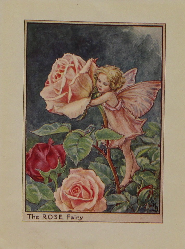 Storytime, The Rose Fairy, Barker Cicely Mary, Flower Fairies of the Garden, c1940