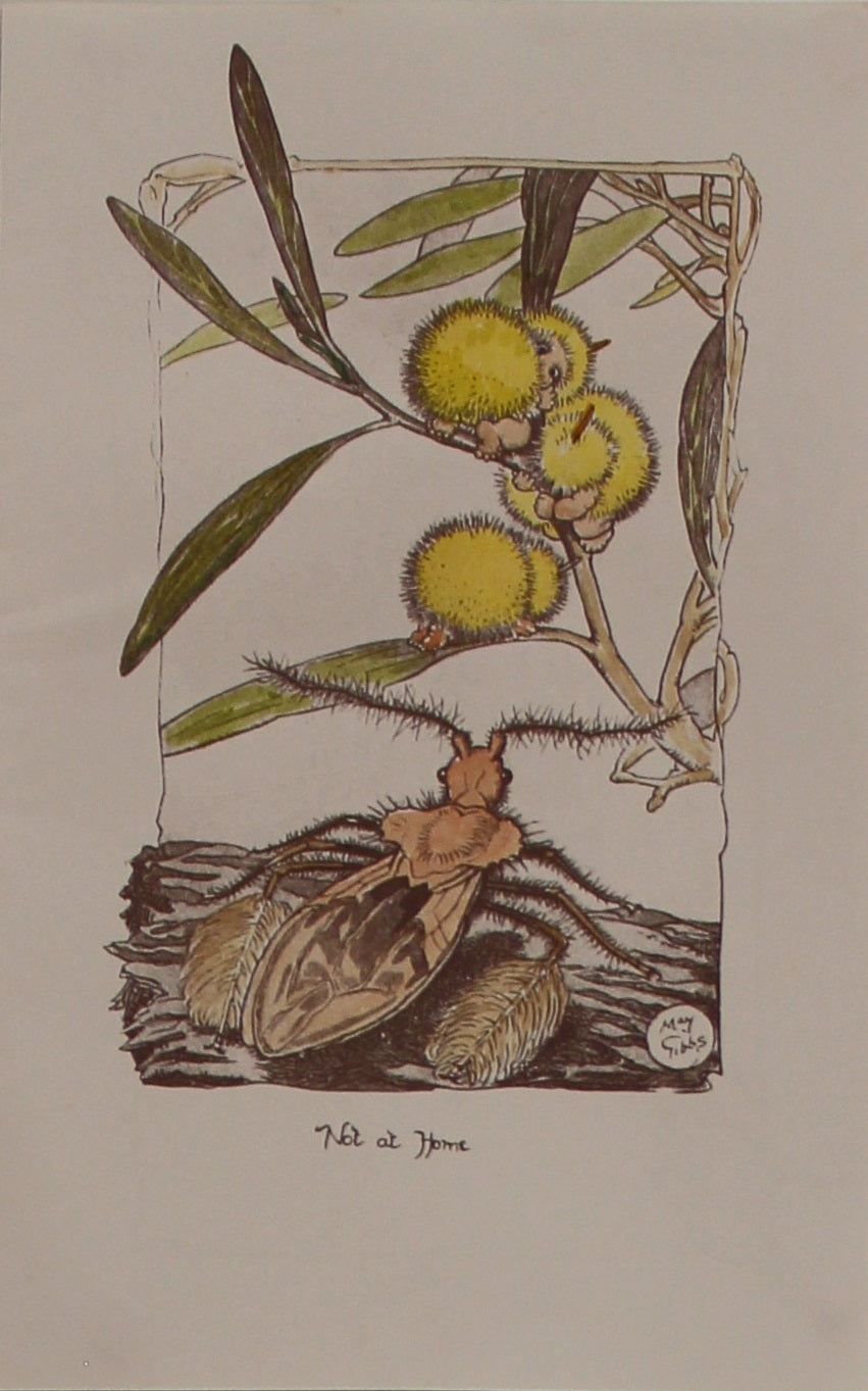 Storytime, Wattle Babies, Not at Home, Gibbs May, c1918