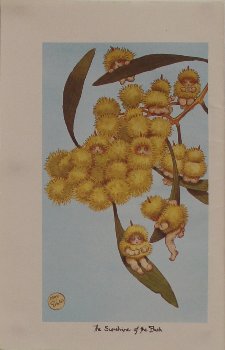 Storytime, Wattle Babies, The Sunshine of The Bush, Gibbs May, c1918