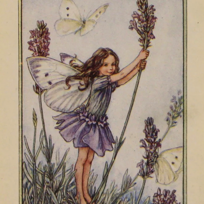 BIOGRAPHY OF CICELY MARY BARKER
