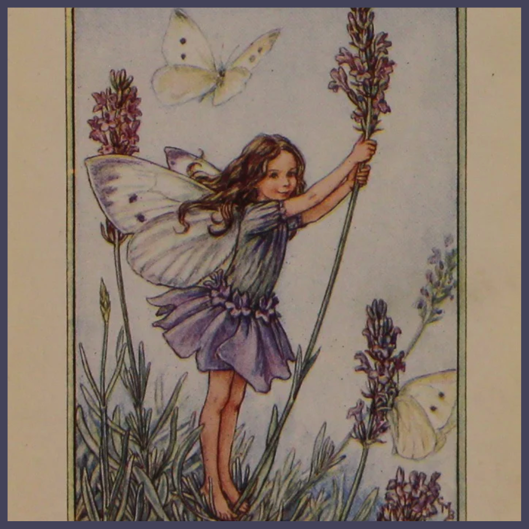 Cicely Mary Barker Collection