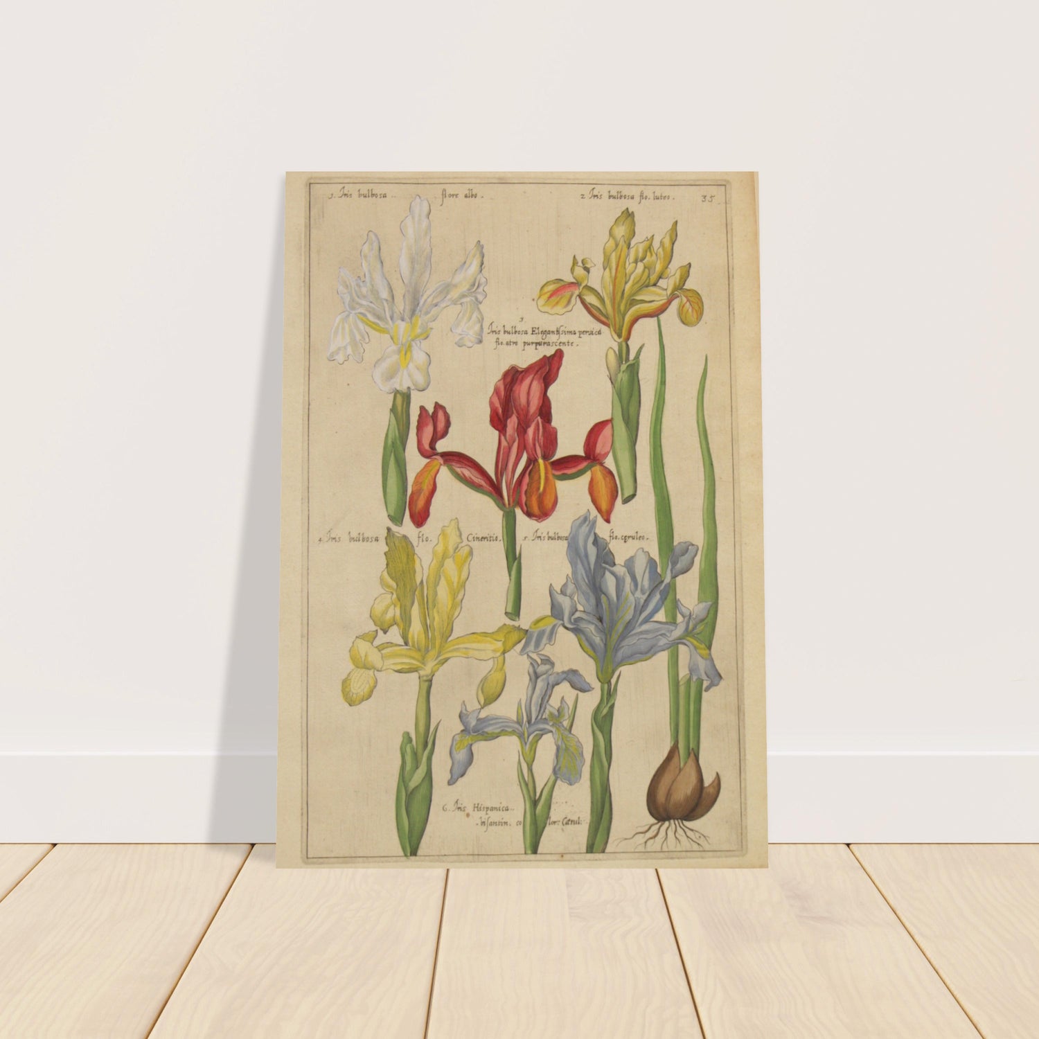 Custom Botanical Prints