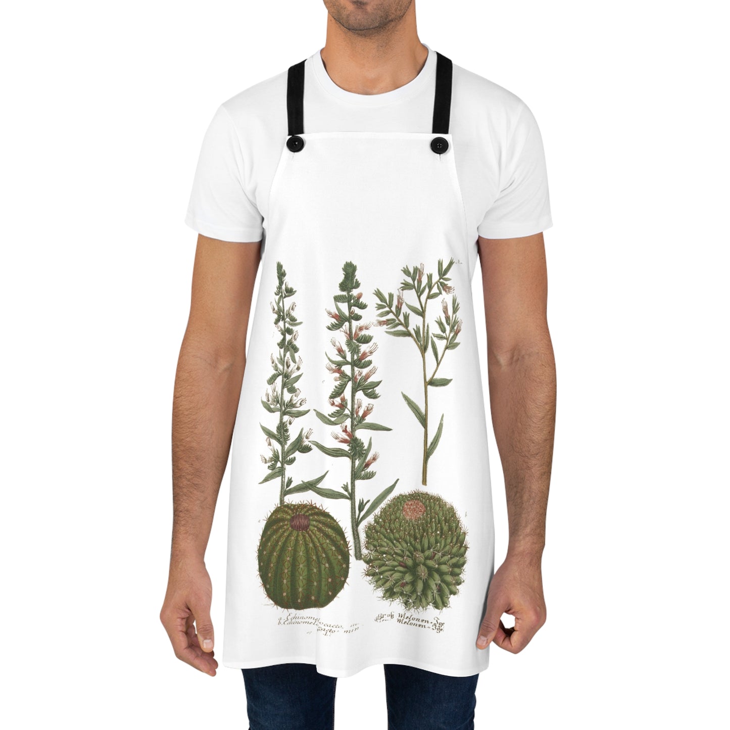 Catcus by BeslerApron