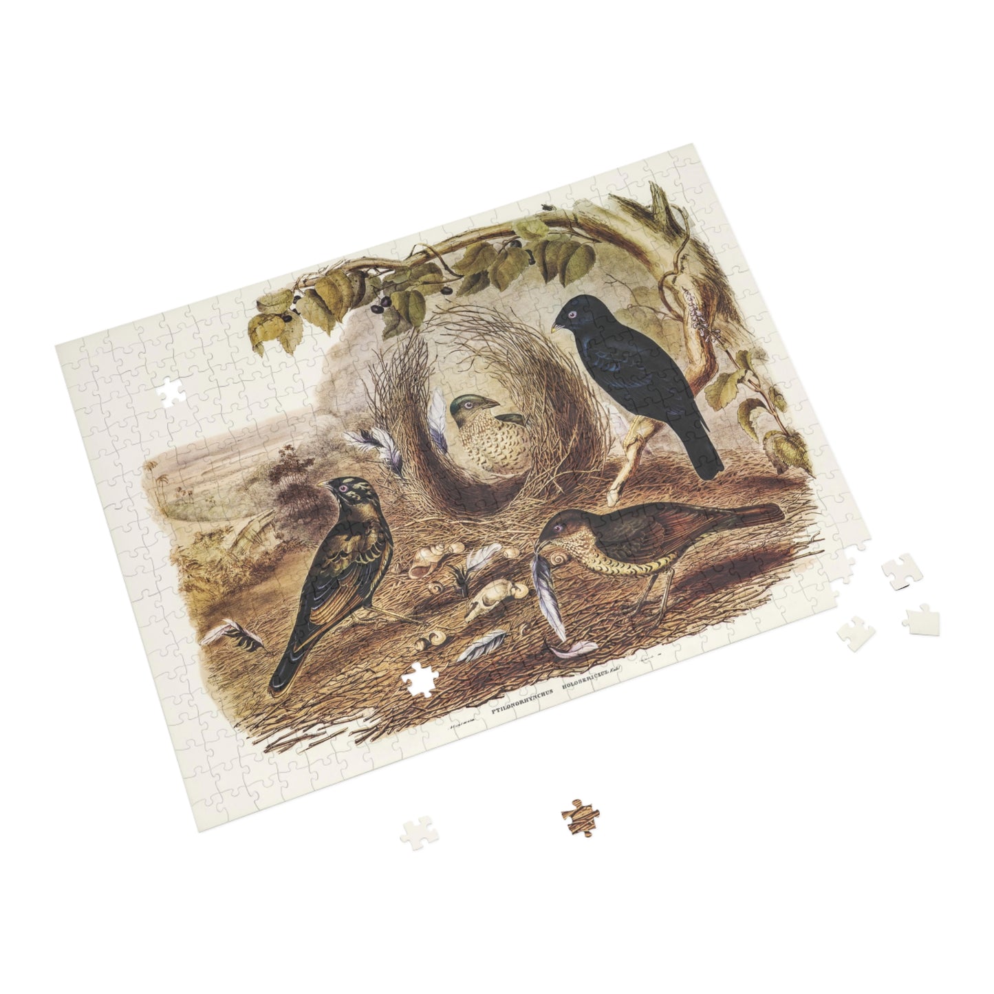 John Gould Australian Birds Jigsaw Puzzle - 252, 500 Piece