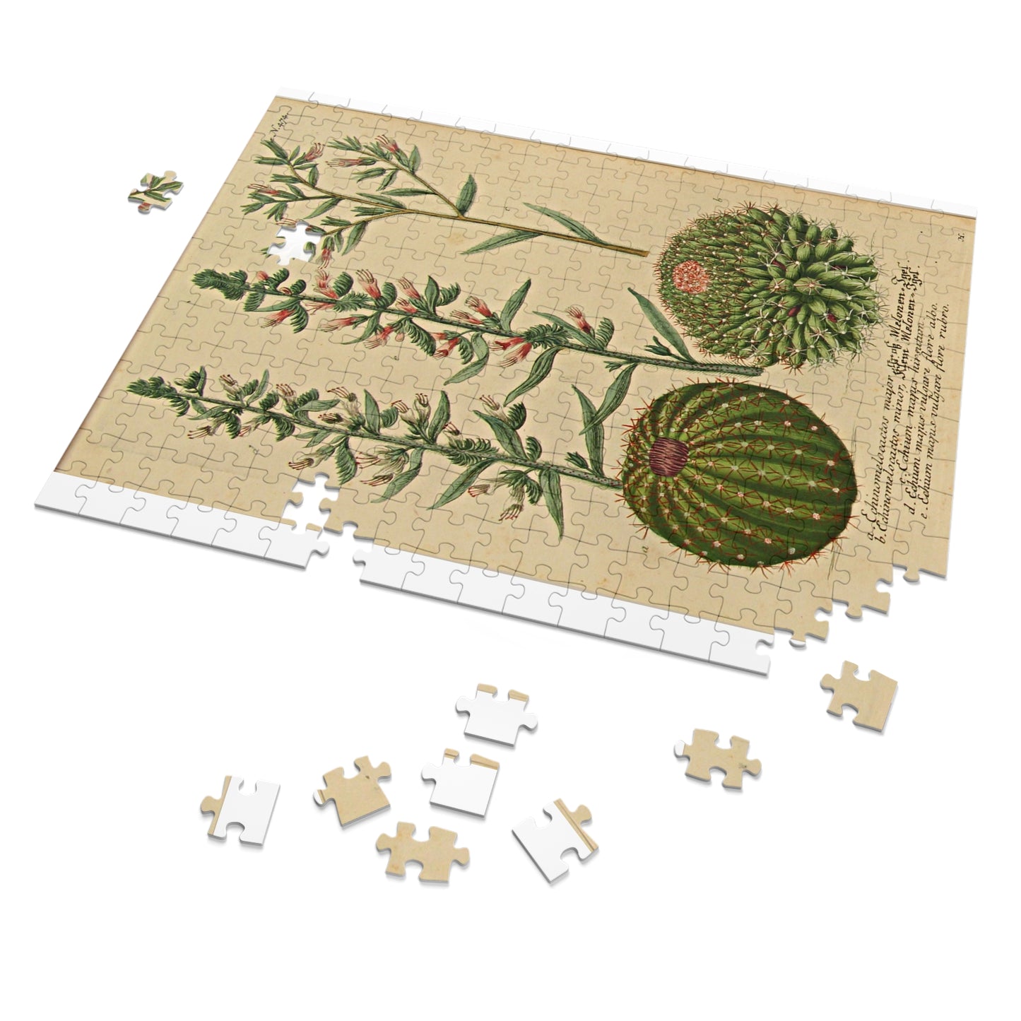 Jigsaw Puzzle Catus by Besler  (252, 500, 1000-Piece)
