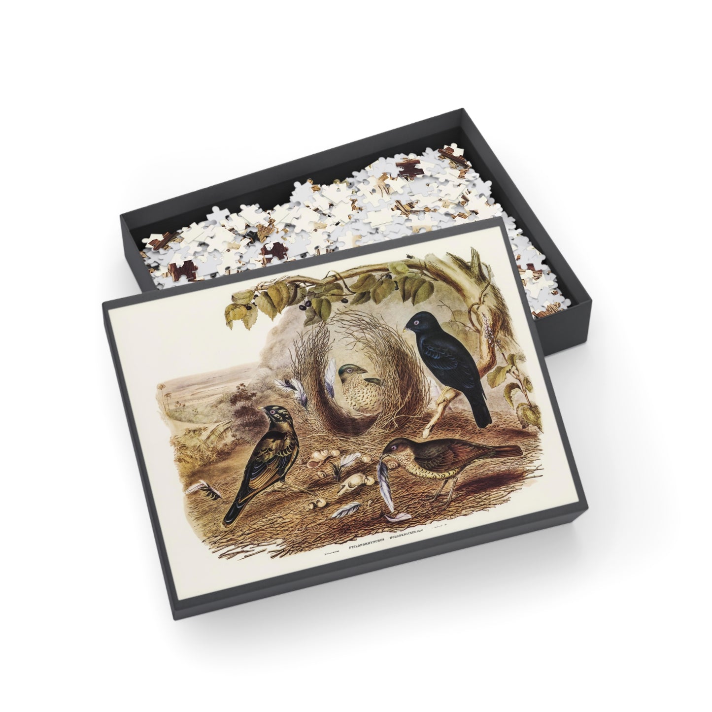 John Gould Australian Birds Jigsaw Puzzle - 252, 500 Piece