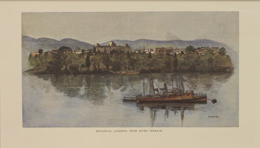 Australia, Botanical Gardens from River Terrace, Reproduction, c1886