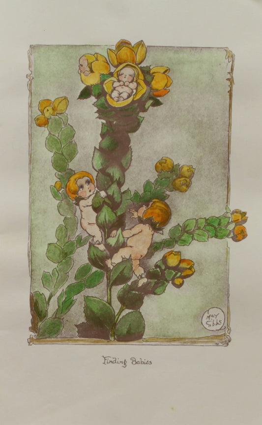 Storytime, Boronia Babies, Gibbs May, Finding Babies, c1920