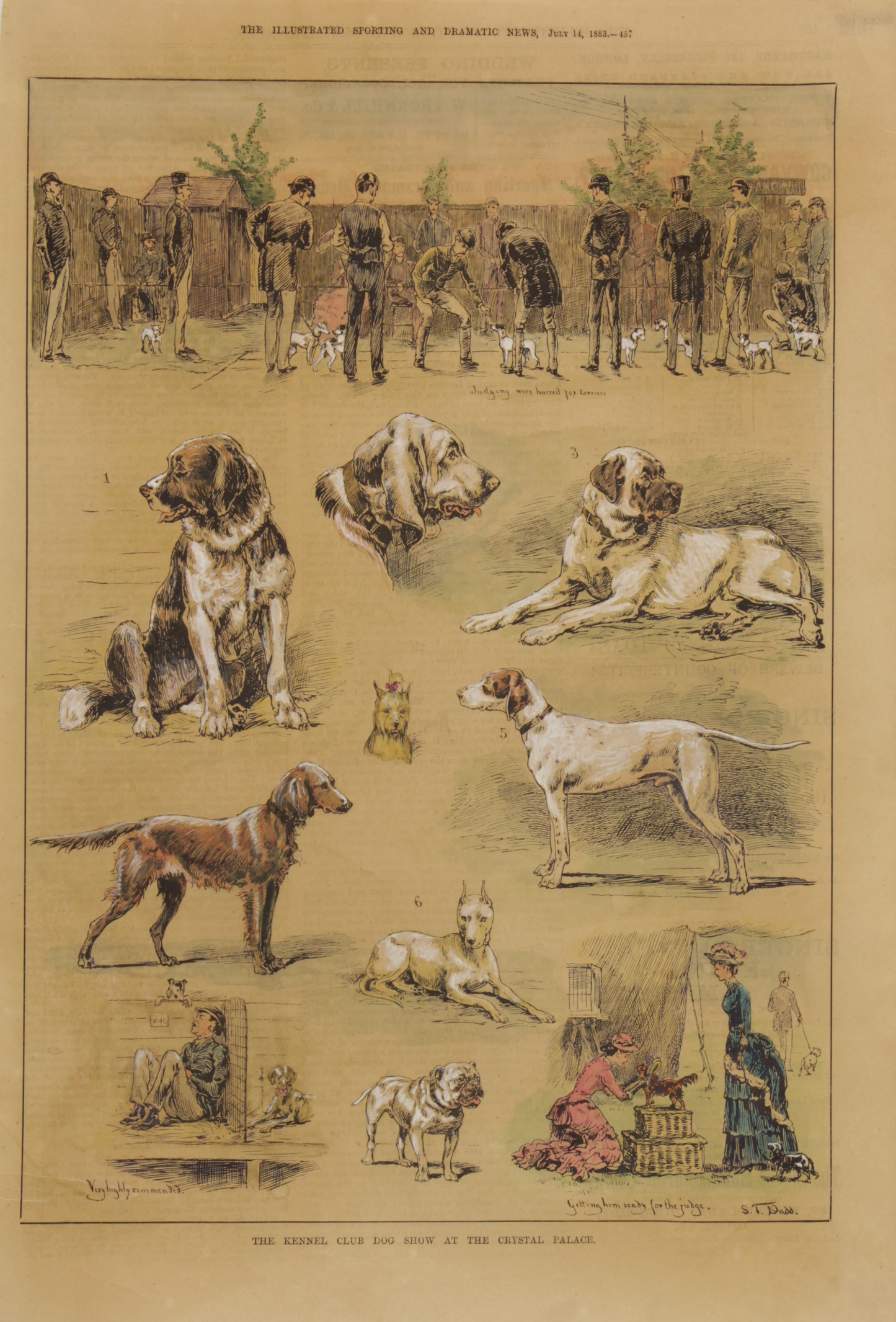 Sporting, Animals, The Kennel Club Dog Show, 1883