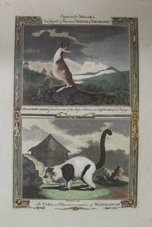 Animal, Two Animals from Millar's New, Complete and Universal System of Geography, c1782