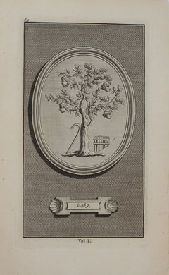 Antiquities, Pine, John, Illustrations of Virgil's Poems-Vol 1, 89 V389  1774