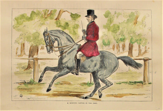 Sporting, Equestrian, A Morning Canter in the Park, Cassells, The Book of the Horse, 1875