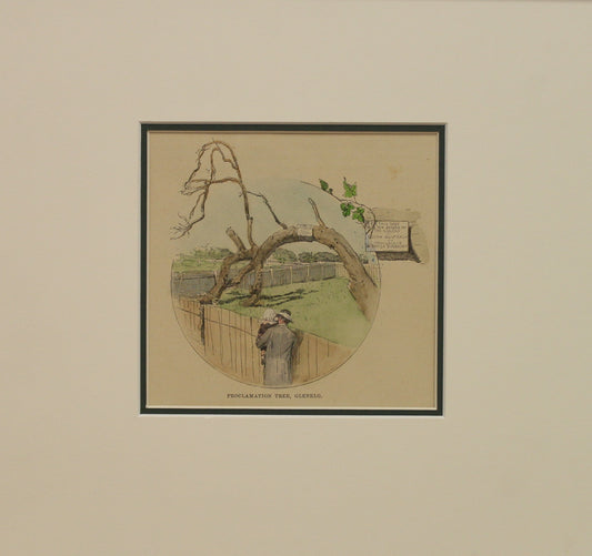 Australia, Proclamation Tree, Glenelg, South Australia c1886