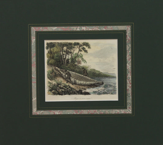 Australia, Canoe Made of Bark, Picturesque Voyages of the World