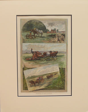 Australia, Harvesting in South Australia, c1886
