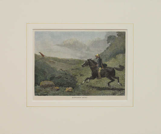 Australia, The Kangaroo Hunt, c1886
