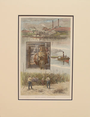 Australia, The Sugar Industry on the Richmond River, New South Wales,  c1886