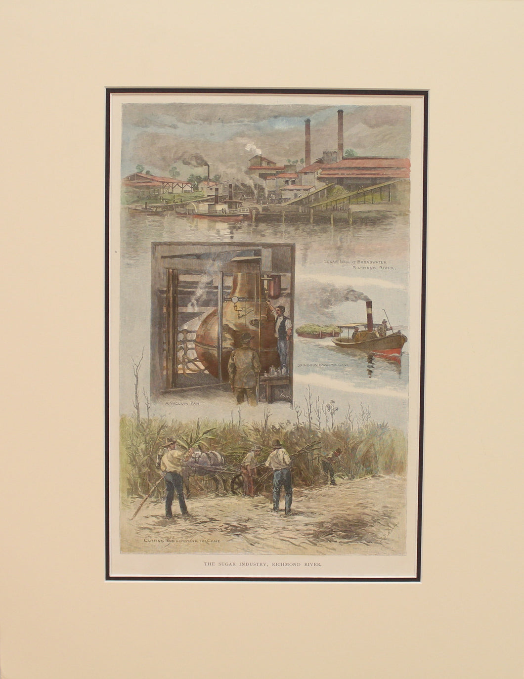 Australia, The Sugar Industry on the Richmond River, New South Wales,  c1886