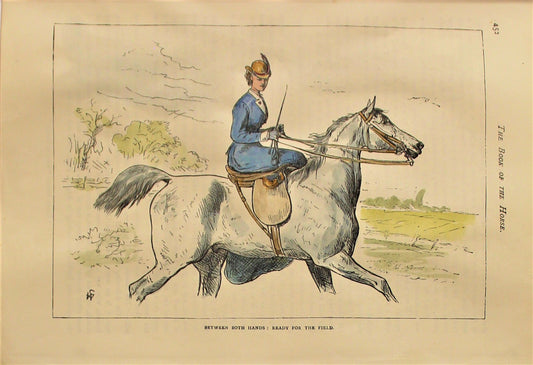 Sporting, Equestrian, Between Both Hands, Cassells, The Book of the Horse, 1875