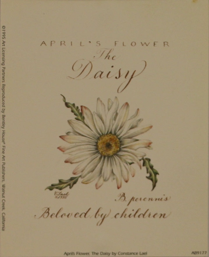Botanical, April's Flower, Daisy, Lael, Constance, 1995 Reproduction