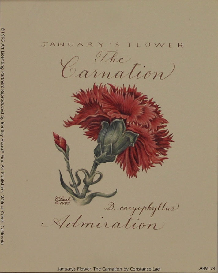 Botanical, January's Flower, Carnation, Lael, Constance, 1995 Reproduction