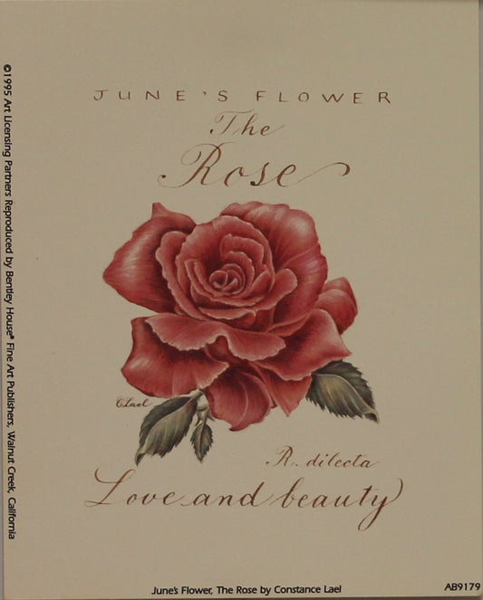 Botanical, June's Flower, Rose, Lael, Constance, 1995 Reproduction