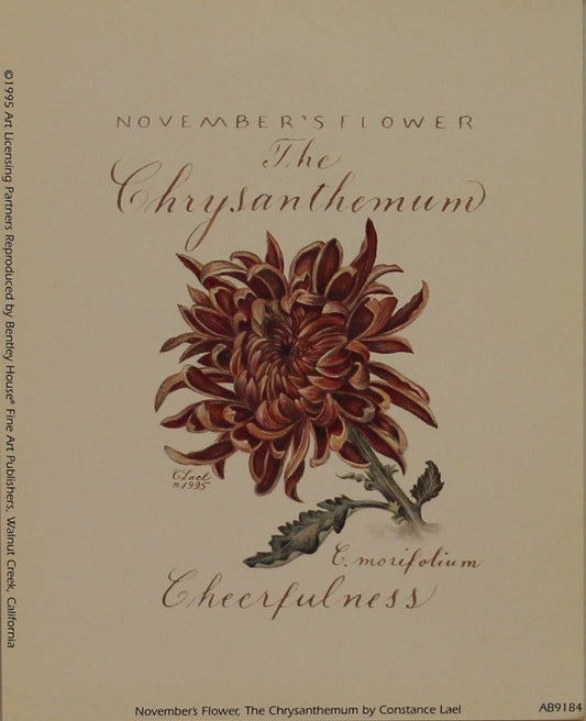 Botanical, November's Flower, Chrysanthemum, Lael, Constance, 1995 Reproduction