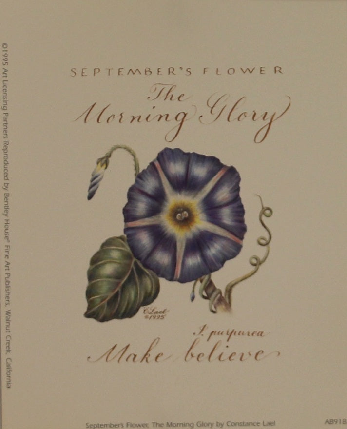 Botanical, September's Flower, Morning Glory, Lael, Constance, 1995 Reproduction