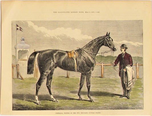 Sporting, Equestrian, Cambello, Winner of the Two Thousand Guinea Stakes, 1875