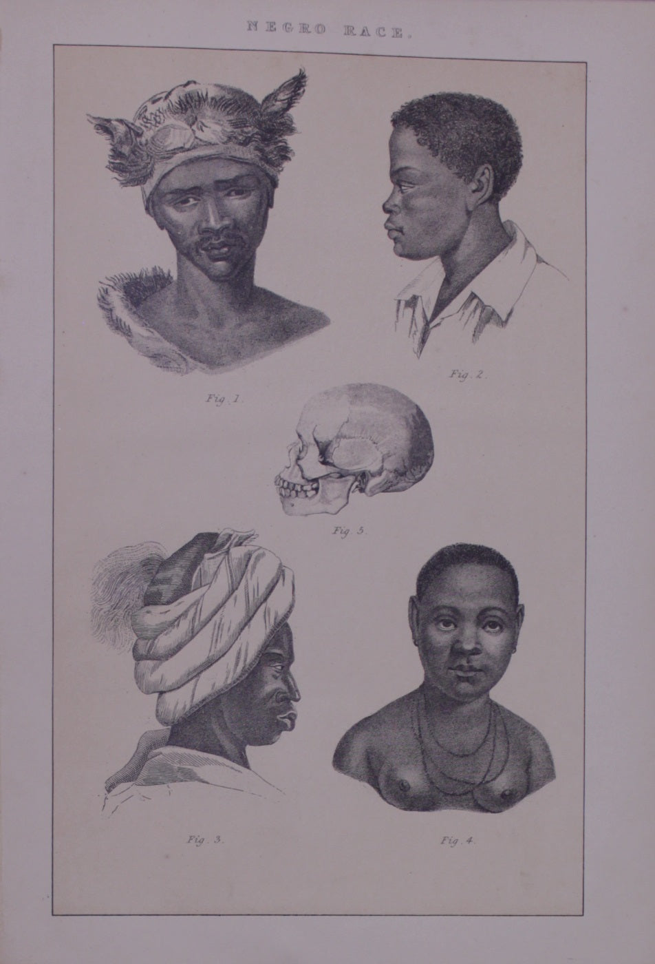 Ethnology, Anthropology & Ethnology, Blackie & Son, Negro Race, c1880